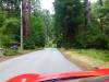131 - 20120705 Skyline Redwoods Pescadero Drive