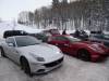 175 - 20140211 Ferrari FF Aspen