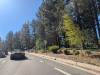 178 - 20241017 408 Garage Tahoe