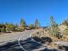 187 - 20241017 408 Garage Tahoe