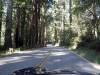 223 - 20150404 Skyline Bonny Doon