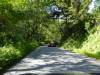 115 - 20210522 Skyline to the Sea Loop