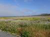 123 - 20210522 Skyline to the Sea Loop