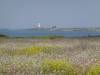 124 - 20210522 Skyline to the Sea Loop