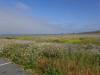 126 - 20210522 Skyline to the Sea Loop