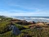 113 - 20231209 Skyline to the Sea Loop Google