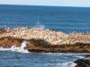 124 - 20231209 Skyline to the Sea Loop Google