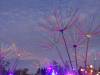 150 - 20150927 Shoreline Beyond Wonderland