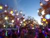 158 - 20150927 Shoreline Beyond Wonderland