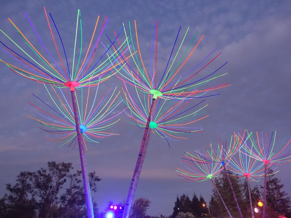 151 - 20150927 Shoreline Beyond Wonderland