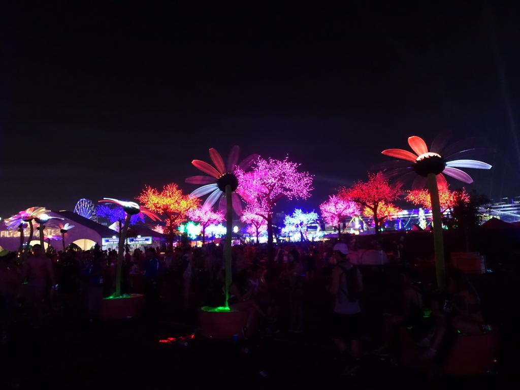 1009 - 20160617 EDC Vegas Day1