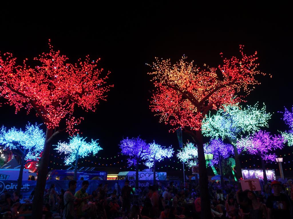 2121 - 20160617 EDC Vegas Day2