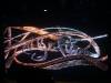 103 - 20161201 Pure Lounge Aly n Fila