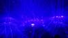 323 - 20180317 Bill Graham Laserface Gareth Emery