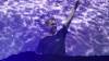 157 - 20180616 Bill Graham Armin Van Buuren