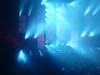 206 - 20180820 Bill Graham Dreamstate SF
