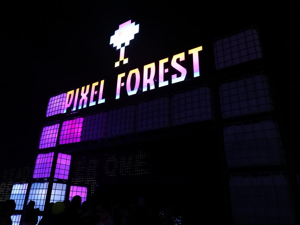 2804 - 20190517 EDC Pixel Forest