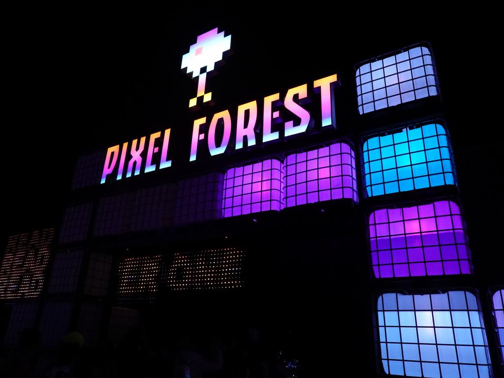 2805 - 20190517 EDC Pixel Forest