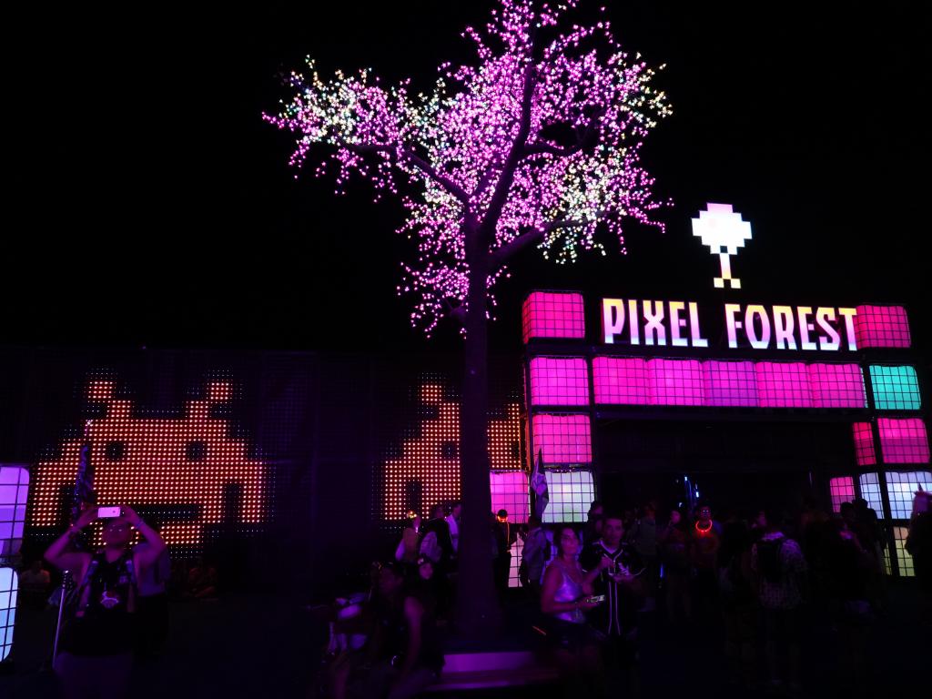 2815 - 20190517 EDC Pixel Forest