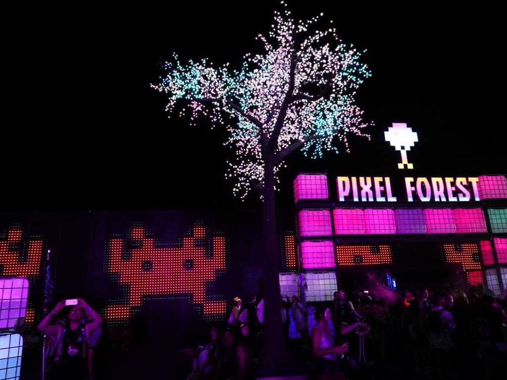 2816 - 20190517 EDC Pixel Forest