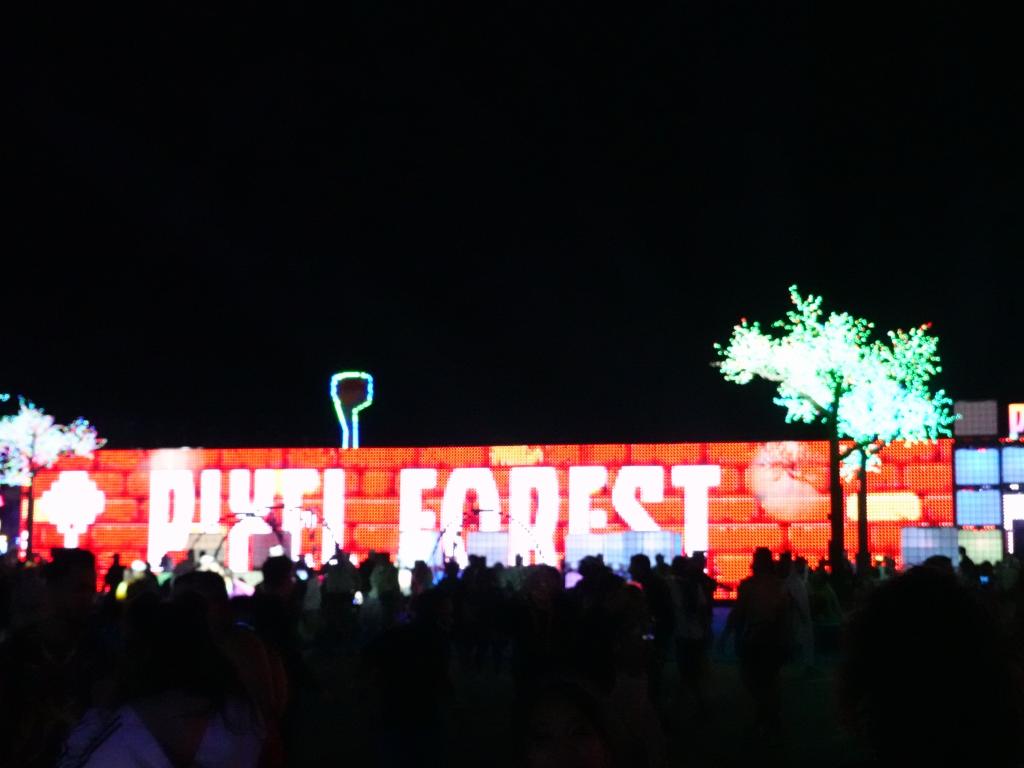 2827 - 20190517 EDC Pixel Forest