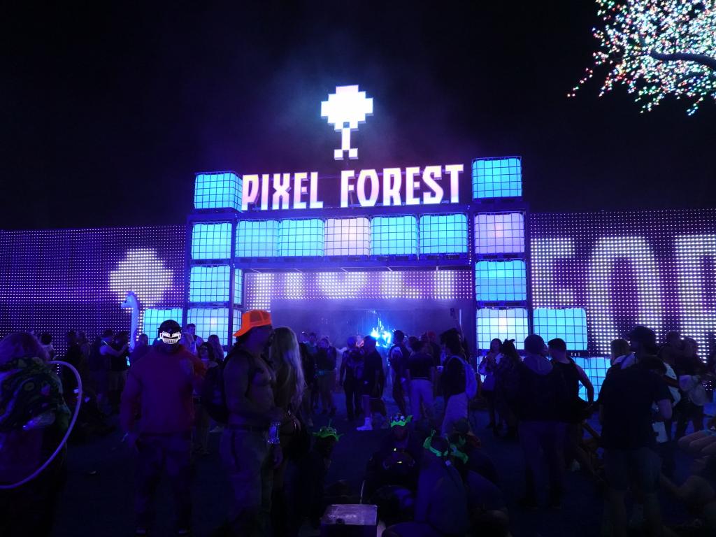 2836 - 20190517 EDC Pixel Forest