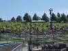301 - 20190727 The Gorge Above n Beyond Weekender Day1