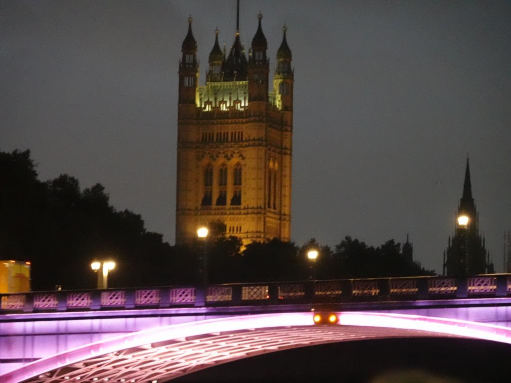 120 - 20210902 Thames Cruise Thrillseekers