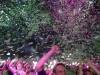 148 - 20211012 Amsterdam ADE AFAS Live AMF Top100 DJ Awards