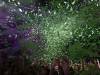 149 - 20211012 Amsterdam ADE AFAS Live AMF Top100 DJ Awards