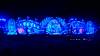 5158 - 20211022 EDC Vegas Grounds