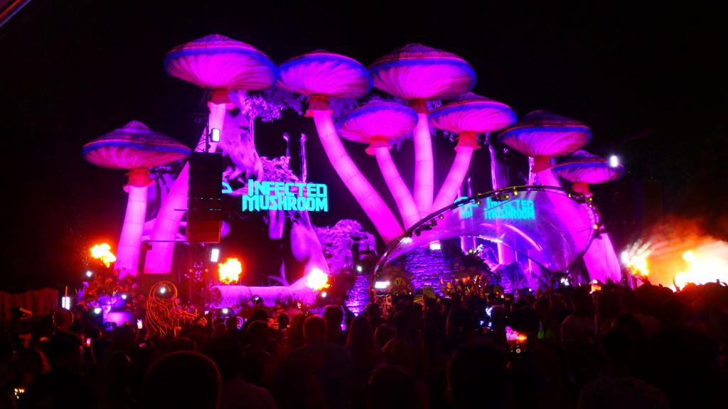 3436 - 20220731 Tomorrowland Day3