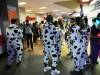 110 - 20231125 Give Thanks Cow Palace
