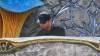 3115 - 20240728 Tomorrowland Day3 Panasonic DC-ZS200D