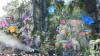 3117 - 20240728 Tomorrowland Day3 Panasonic DC-ZS200D