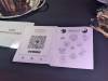 138 - 20241012 Ophelia Block Party Seven Lions Midway SF Google