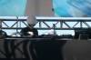 1118 - 20241122 Dreamstate Socal Queen Mary Day1 Panasonic