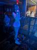 4132 - 20241122 Dreamstate Socal Queen Mary People Google