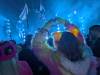 4293 - 20241122 Dreamstate Socal Queen Mary Friends Google
