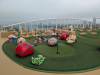 1138 - 20250123 Groove Cruise Alure of the Seas Google Pixel 9 Pro XL