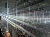 1191 - 20250221 ASOT Rotterdam Google Pixel 9 Pro Fold