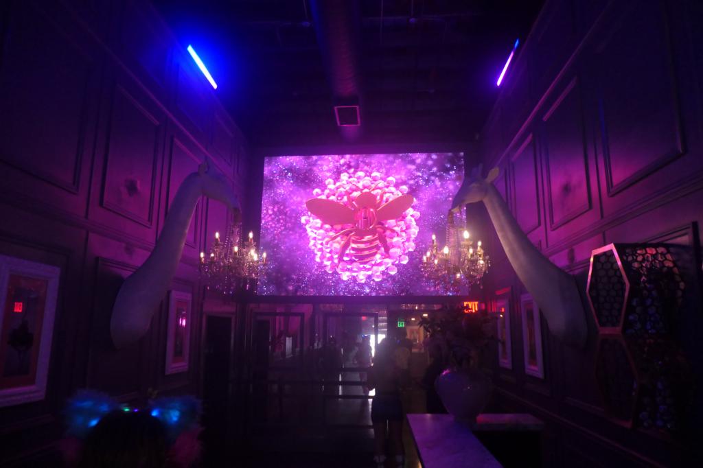 101 - 20250327 Mad Club Winwood Miami Maddix Panasonic DC-ZS200D