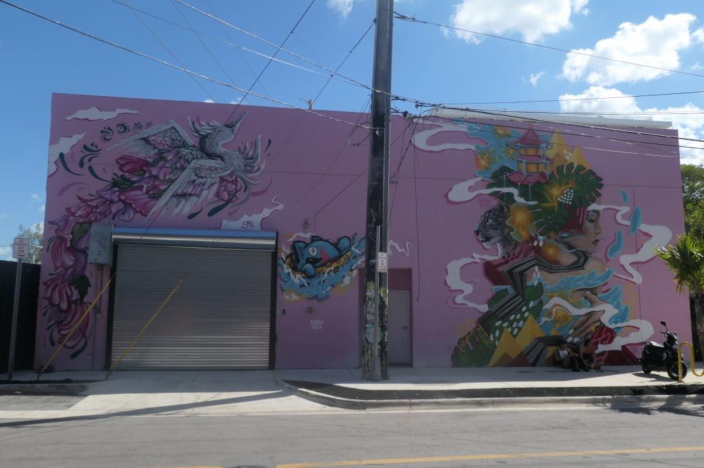 129 - 20250327 Mad Club Winwood Miami Maddix Panasonic DC-ZS200D
