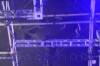 1248 - 20250328 Ultra Music Festival Miami Panasonic DC-ZS200D