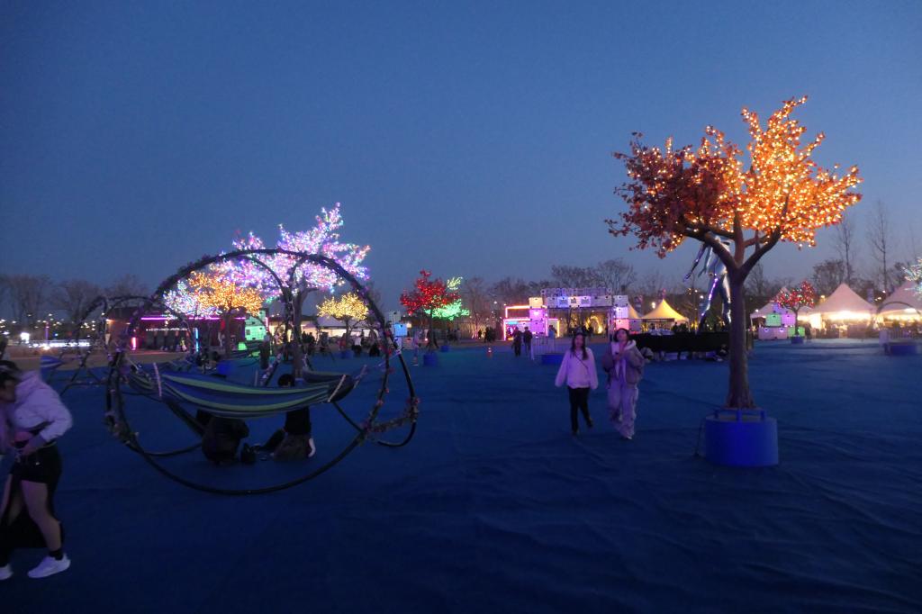 2111 - 20250425 EDC Korea Grounds Panasonic DC-ZS200D