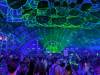3103 - 20250518 EDC Vegas Day3 Google Pixel 9 Pro XL
