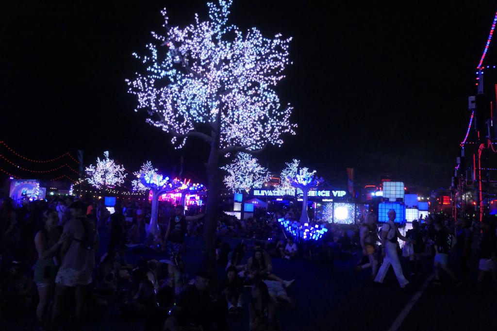 1164 - 20250518 EDC Vegas Day1 Panasonic DC-ZS200D