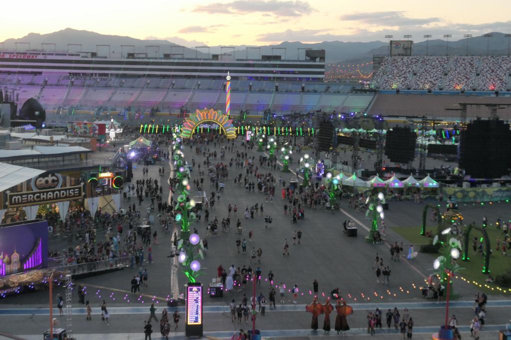 4235 - 20250518 EDC Grounds Panasonic DC-ZS200D