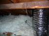 103 - W800 Quarter Wave Ground Plane Antenna