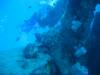 111 - Dive2-1